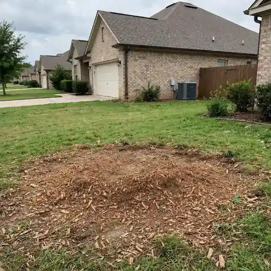 The same lawn after stump grinding with the area level and mulched
